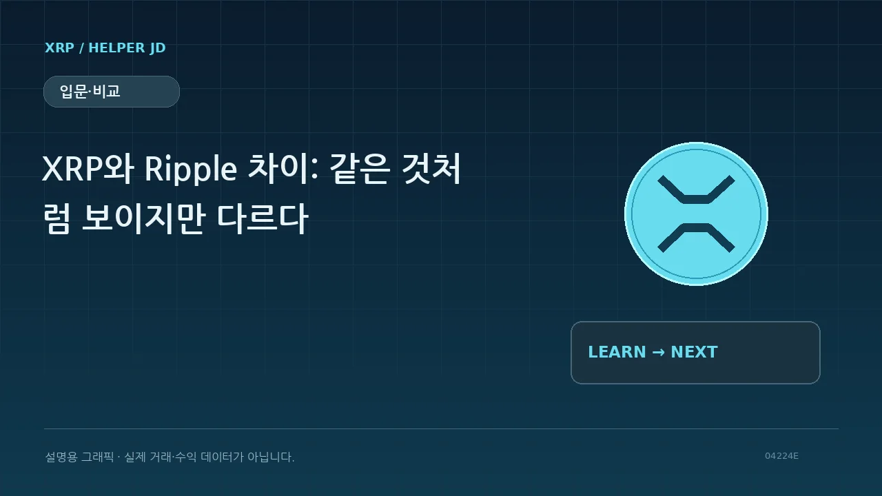 입문·비교 설명용 그래픽